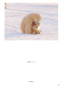 必見 シロクマと犬のハグ 奇跡の癒し系写真本を発見 Cancam Jp キャンキャン