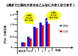 ママ必見 脳の70 は 1歳までに作られるって知っていましたか Cancam Jp キャンキャン