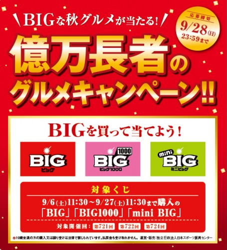 14_CKSU_BIGグルメCP_カルワザSTN上ステッカー08