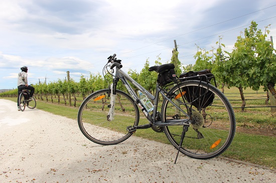 On Yer Bike Winery Tours