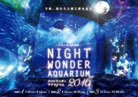 NIGHT WONDER AQUAIUM2016 新江ノ島水族館