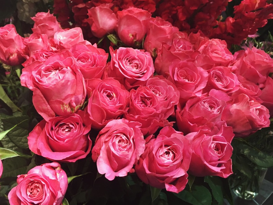 赤いバラは 情熱 では6本のバラの意味 知ってる Cancam Jp キャンキャン