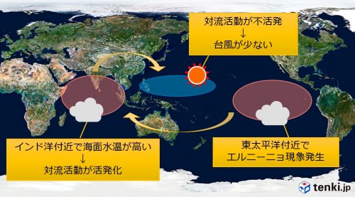 記録的な 台風 が多い今年 その理由を気象予報士に聞いてみた