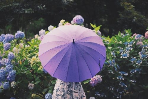 雨の日,憂鬱,楽しく,傘