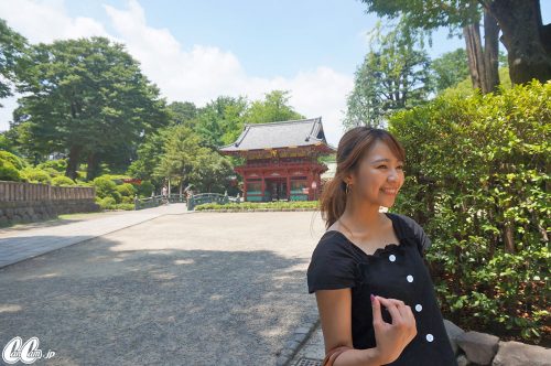 たかのさんぽ,極上,遊び,デート,根津神社,神社,高野茂,尾身綾子