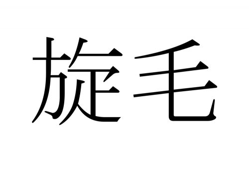 旋毛,つむじ,漢字,読み方,クイズ