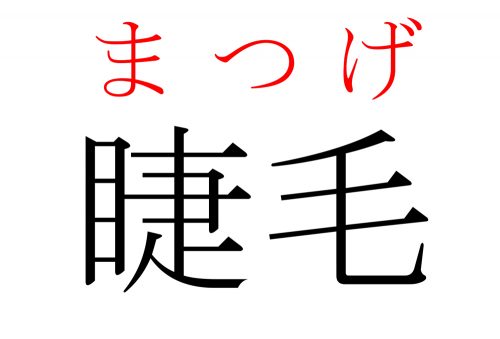 睫毛,まつげ,漢字,読み方,クイズ