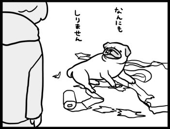 犬あるあるその1「しりません」