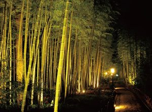 日本ってこんなに美しい 一度は行きたい夏絶景ランキングtop10 Cancam Jp キャンキャン
