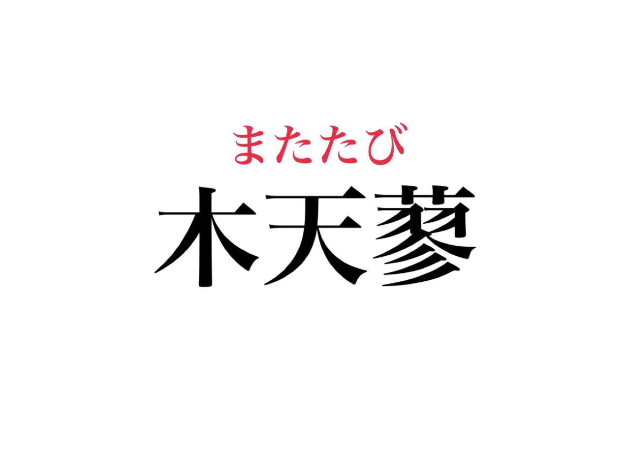 木天蓼 の読み方 わかる 絶対知ってるあの植物のこと Cancam Jp キャンキャン