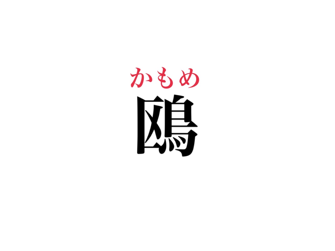 鴎 って読めますか 絶対知ってる鳥の名前です Cancam Jp キャンキャン