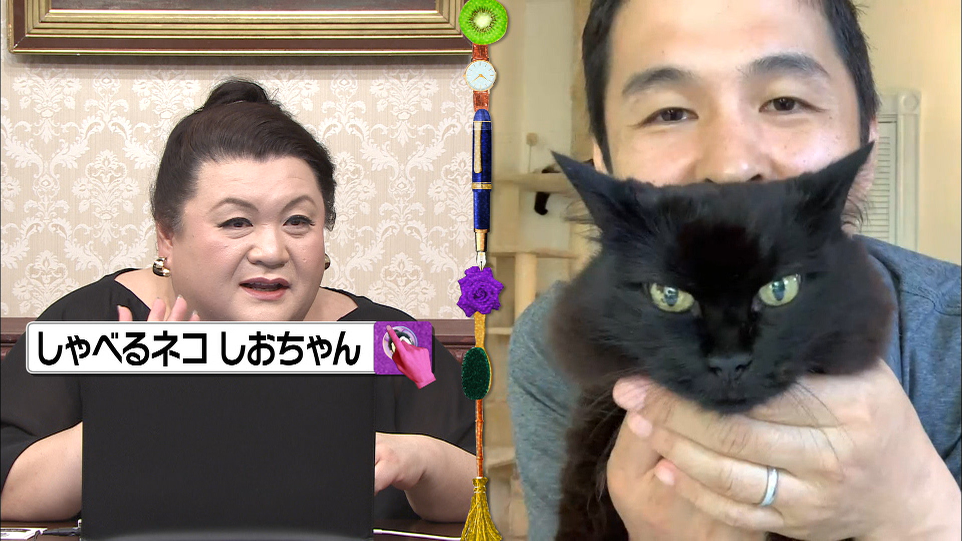 Snsやyoutubeで話題の猫動画で人生が激変 人気ネコの飼い主さんたちに迫る Cancam Jp キャンキャン