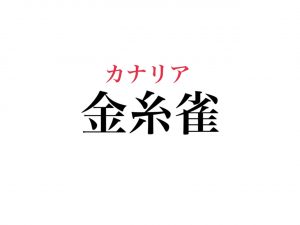 金糸雀 って読めますか 声も姿もかわいい あの小鳥 Cancam Jp キャンキャン