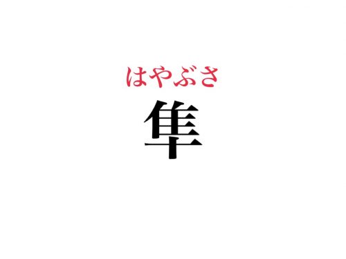 隼 って一文字でなんと読む とっても速いあの鳥の名前です Cancam Jp キャンキャン