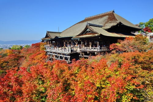 もう一度行きたい日本の世界遺産 3位は姫路城 1位は