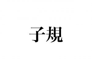 漢字クイズ 不如帰 時鳥 子規 3つとも同じ鳥の名前 読み方 わかる Cancam Jp キャンキャン