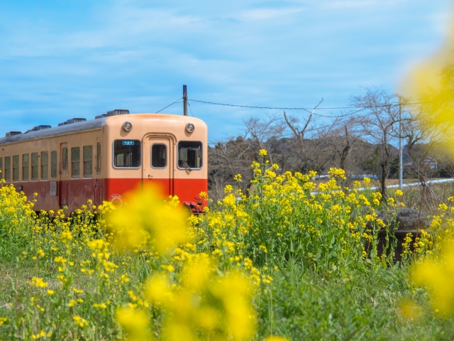 意外な千葉県あるある 5選 出身地をチーバくんで表現する