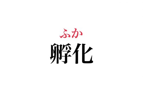 漢字クイズ うか は間違い 孵化 正しく読めますか Cancam Jp キャンキャン