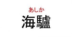 海驢 って読める 水族館で会うことのできるあの動物です Cancam Jp キャンキャン