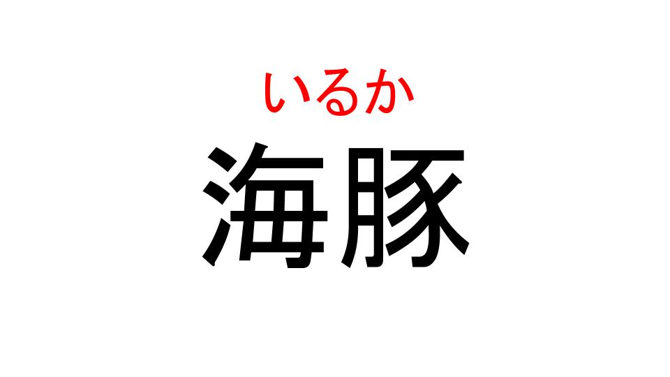 海豚 って読めますか 大人気の絶対に知ってるあの動物 Cancam Jp キャンキャン