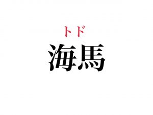 海馬 を2文字で読むと何 海に住む 大きなあの動物です