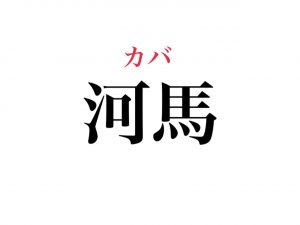 河馬 読めますか かわうま じゃなくて 絶対知ってるあの動物です