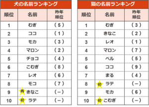 販売 ペット の 名前 かっこいい