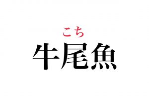 お魚漢字クイズ 高級魚 牛尾魚 って読める うしおざかな ではもちろんありません Cancam Jp キャンキャン