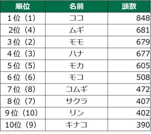 ペットの名前と同じ名前の子が表れる コレクション