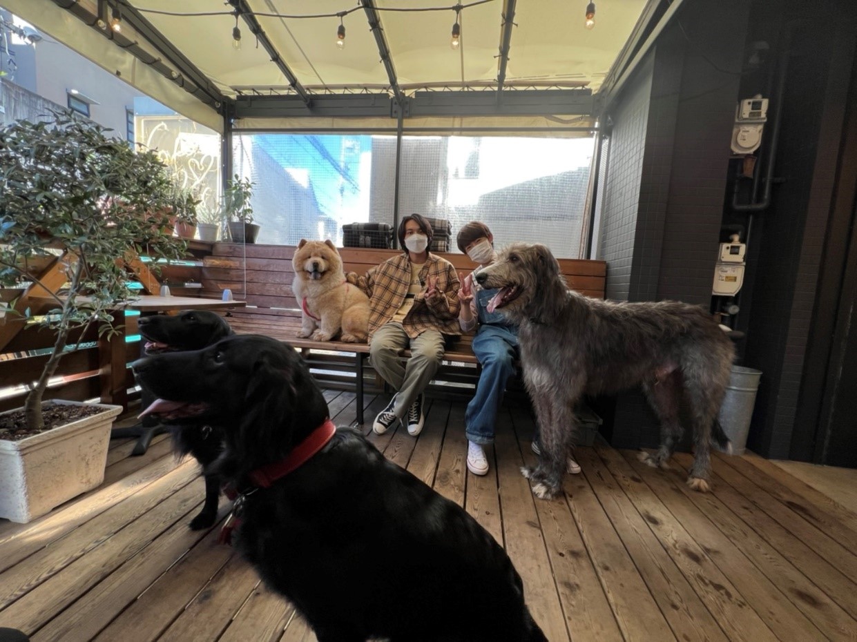 北村匠海 実は 犬 派 相葉雅紀とのお散歩ロケでふわふわ看板犬にメロメロに Cancam Jp キャンキャン