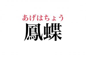 鳳蝶 読めますか 誰もが知っている6文字の生き物です Cancam Jp キャンキャン