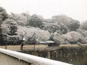 東京で雪の日 に 雪国出身がやりがち 言いがちな 北から目線 あるある Cancam Jp キャンキャン