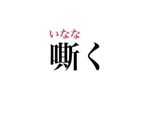 簡単そうな漢字なのに地味に読めない 嘶く って読める Cancam Jp キャンキャン