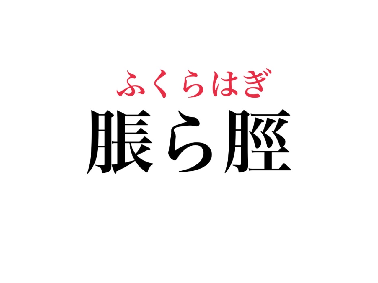 脹ら脛 なんて読む 実は みんな知ってるアソコのこと Cancam Jp キャンキャン