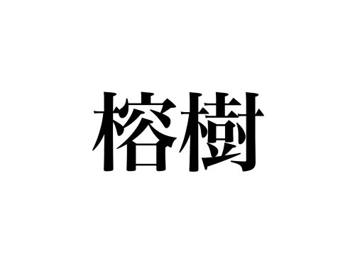 当て字クイズ 榕樹 って何のこと 名前も形もユニークな あの植物です Cancam Jp キャンキャン