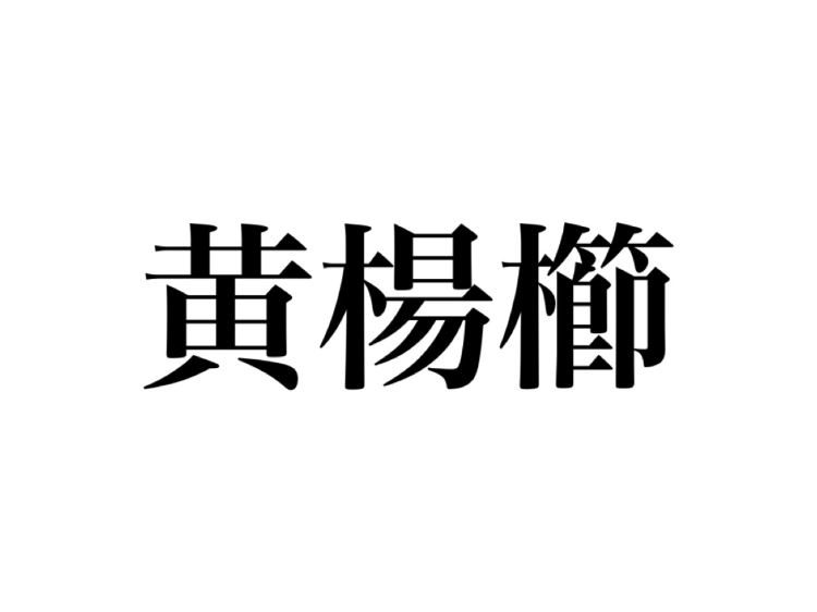 超難読】初見じゃ絶対読めない…！「黄楊櫛」ってなんて読む？ - CanCam