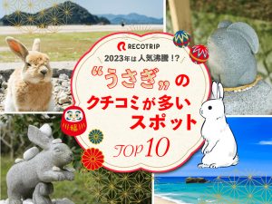 卯年にちなんだ「うさぎ」スポットに注目！2位は最古の日本神話で