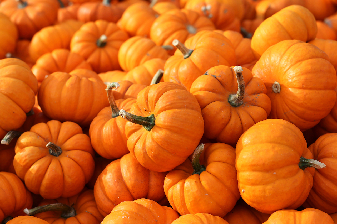 栗にかぼちゃにさつまいも♡「好きな秋の味覚」ランキング1位発表