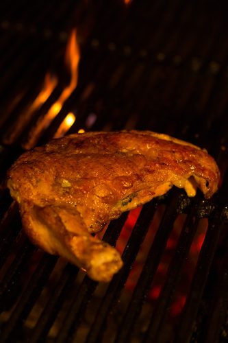 chicken