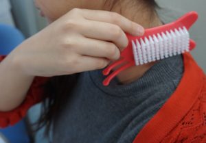 「抜群の毒出し効果」と評判の『美的』付録「かっさブラシ」を使ってみた。