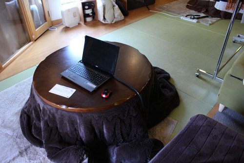 「猫の日」なので都内の猫カフェに行ったらスゴかった！