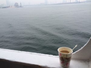 【連載】世界遺産・小笠原に普通の女子が行ってみた(１)〜大荒れの海を渡り、いざ南の島へ〜