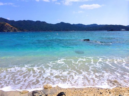 【連載】世界遺産・小笠原に普通の女子が行ってみた(１)〜大荒れの海を渡り、いざ南の島へ〜
