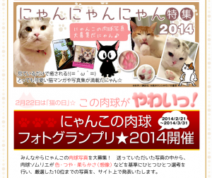 にゃんにゃんにゃん特集  電子書籍はeBookJapan