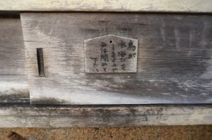 【連載】世界遺産・小笠原に普通の女子が行ってみた(１)〜大荒れの海を渡り、いざ南の島へ〜