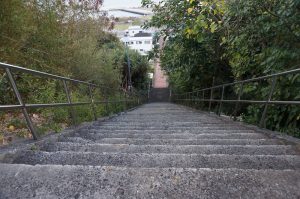 【連載】世界遺産・小笠原に普通の女子が行ってみた(１)〜大荒れの海を渡り、いざ南の島へ〜