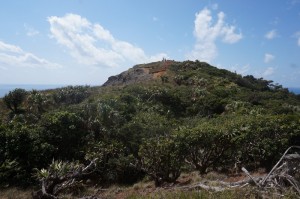 DSC06166