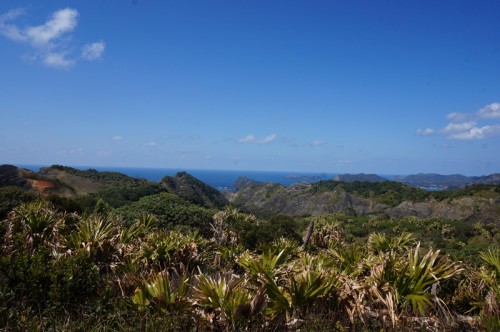 DSC06178