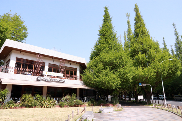 mamepluscafe_04