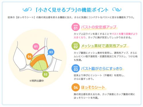 胸を小さく見せたい人のブラ3